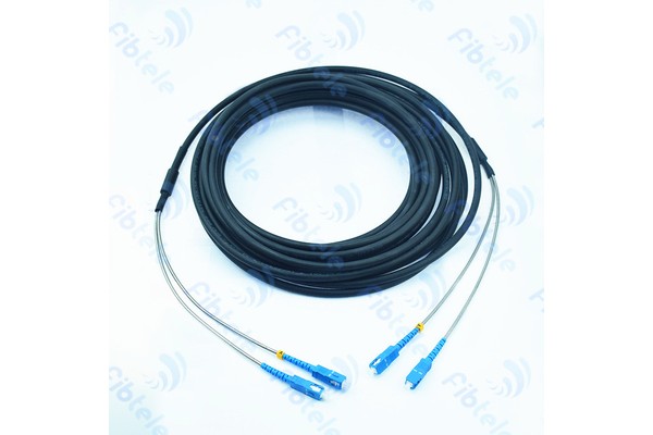 3.0mm DX Armored Indoor Cable
