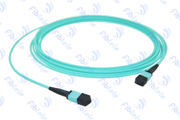 MPO Fiber Optic Patch Cord A/B/C Type
